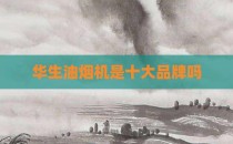华生油烟机是十大品牌吗