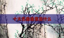 十大名曲曲意是什么