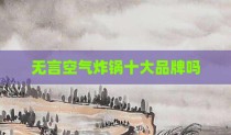 无言空气炸锅十大品牌吗