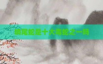 响尾蛇是十大毒蛇之一吗