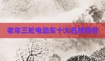 老年三轮电动车十大名牌排名