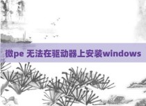 微pe 无法在驱动器上安装windows