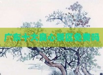 广东十大良心景区免费吗