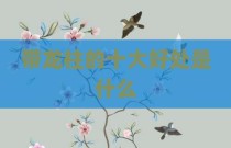 带龙柱的十大好处是什么