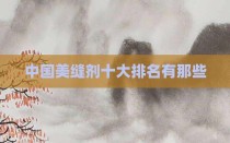 中国美缝剂十大排名有那些