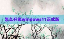 怎么升级windows11正式版