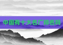 中国有十大名厂排名吗