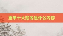 重申十大禁令是什么内容