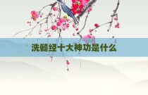 洗髓经十大神功是什么