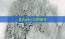 葛根的十大功效和作用
