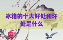 冰箱的十大好处和坏处是什么