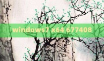 windows7 x64 677408