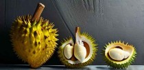 榴莲十大商标名称是什么