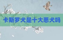 卡斯罗犬是十大恶犬吗