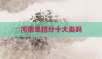 河南单招分十大类吗