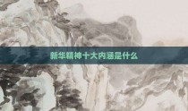 新华精神十大内涵是什么