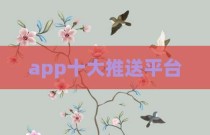 app十大推送平台