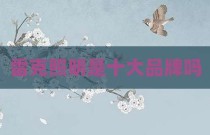 雷克照明是十大品牌吗
