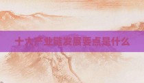 十大产业链发展要点是什么