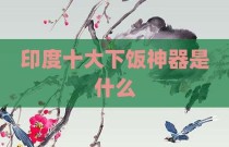 印度十大下饭神器是什么