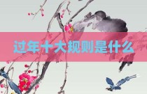 过年十大规则是什么