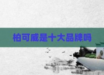 柏可威是十大品牌吗