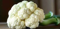 花菜十大禁忌是什么