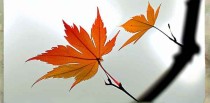 12月9日星期二，农历十月二十，工作愉快，平安喜乐