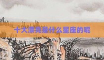 十大漂亮是什么星座的呢