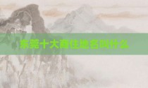 东莞十大商住地名叫什么