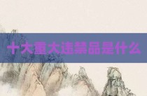十大重大违禁品是什么