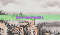 重庆十大新兴产业是什么