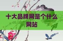 十大品牌网是个什么网站