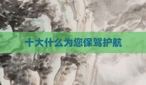 十大什么为您保驾护航