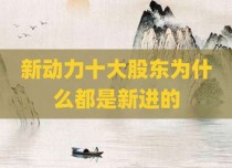 新动力十大股东为什么都是新进的