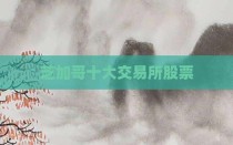 芝加哥十大交易所股票