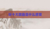 听十大禁曲是什么感受