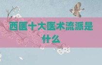 西医十大医术流派是什么