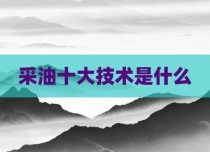 采油十大技术是什么