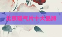 北京暖气片十大品牌