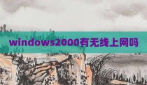 windows2000有无线上网吗