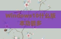Windows10什么版本功能多