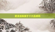爱浪洁具属于十大品牌吗