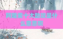 阿隆索十大助攻是什么意思啊