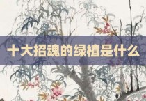 十大招魂的绿植是什么