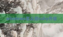 windows怎么给ruby升级