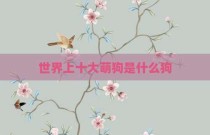 世界上十大萌狗是什么狗