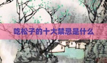 吃松子的十大禁忌是什么