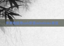 苹果电脑用usb安装windows系统