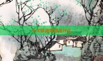 十大精油来源是什么